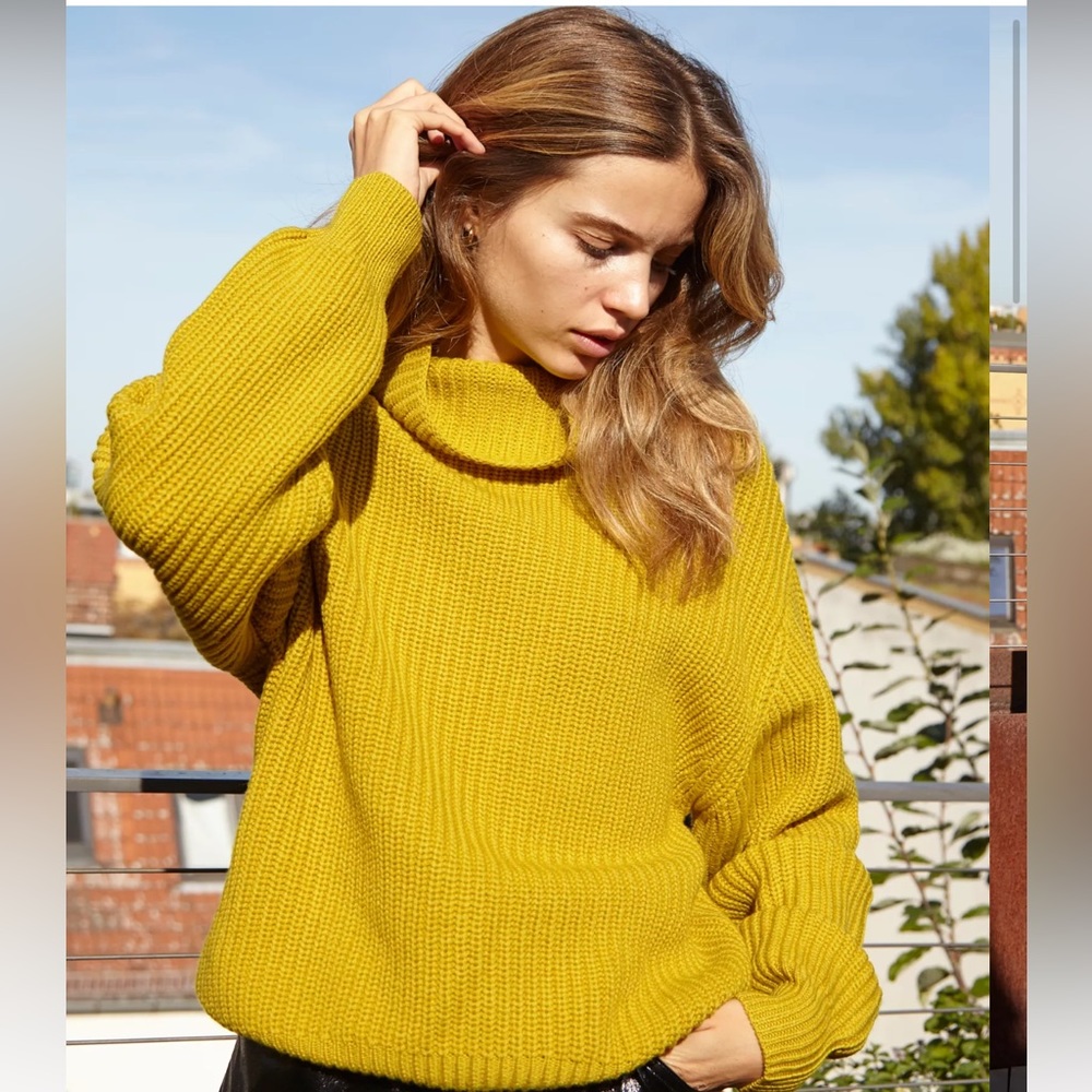Aritzia Wilford Montpellier Turtleneck